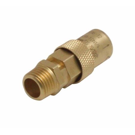 Safety Valve 1/4" 12 Bar ASTA A-SVC1412