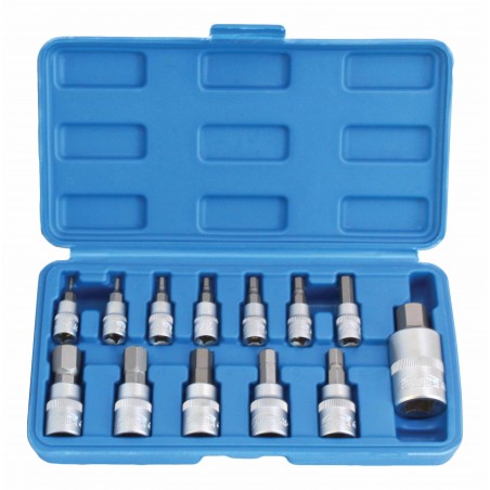 13 PCS HEXBIT SOCKET SET S.A.E
