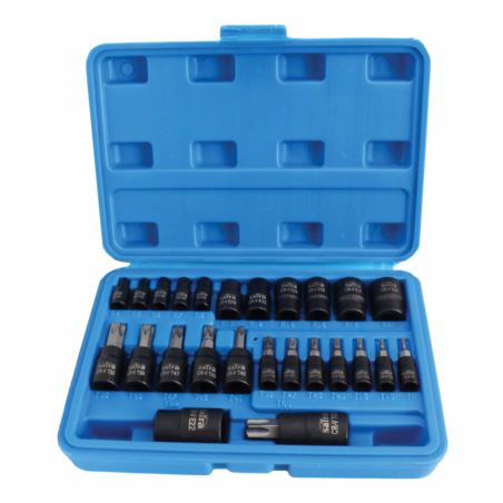 25pcs 1/4" + 3/8" + 1/2 Bit Socket Set