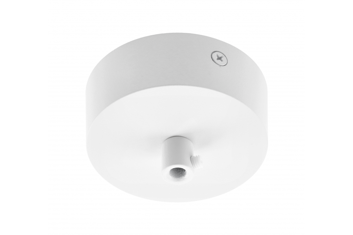 Cover plate for pendant luminaires with terminal block and cable, 80x28 mm, white