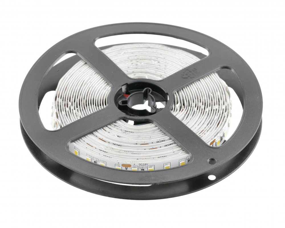 LED strip 2835, DC24V, 600LED/5m, 21 W/m, 1350 lm/m, 6500K, IP20, roll 5 m