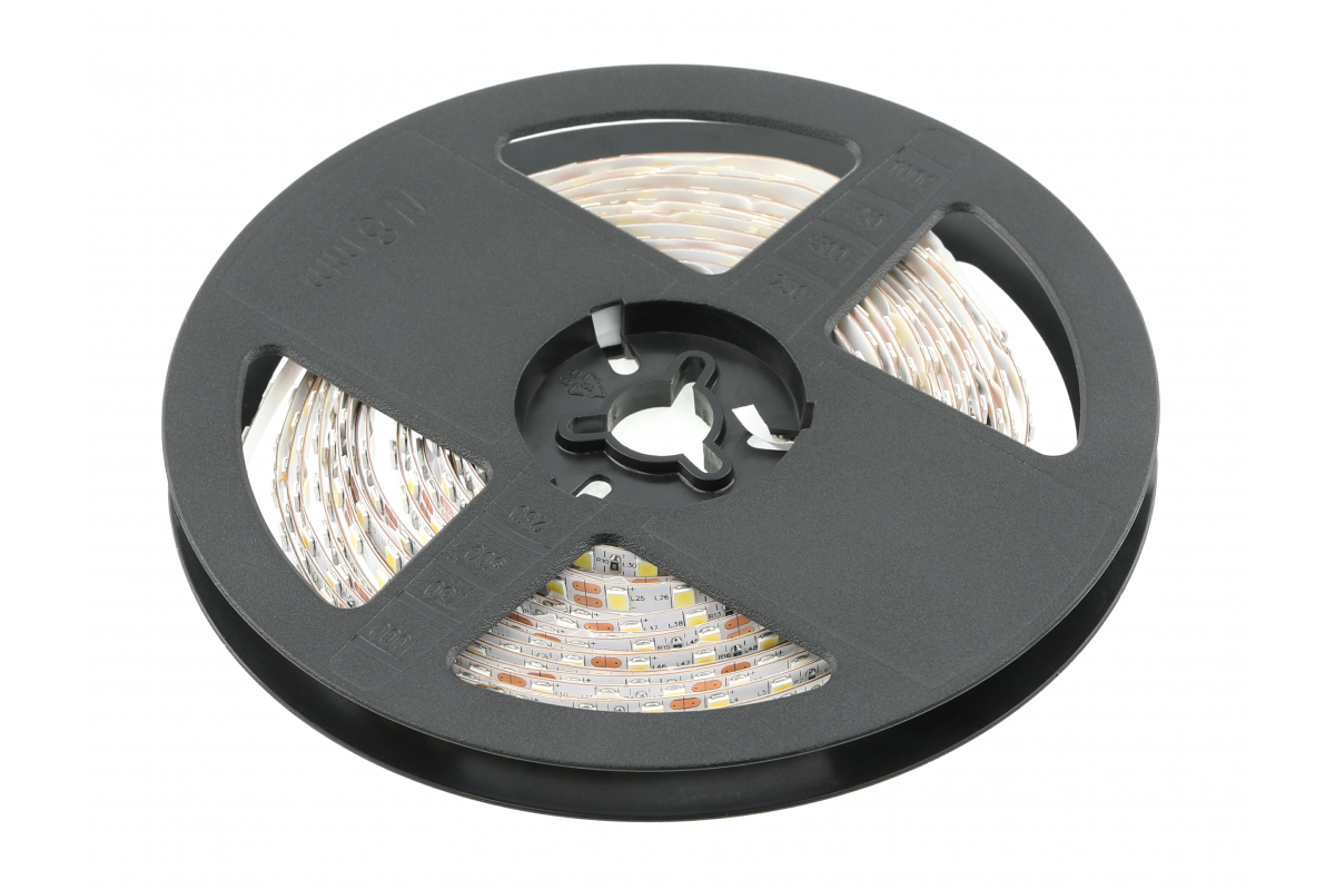 LED strip 2835, DC12V, 600LED/5m, 19 W/m, 1350 lm/m, 6500K, IP65, roll 5 m