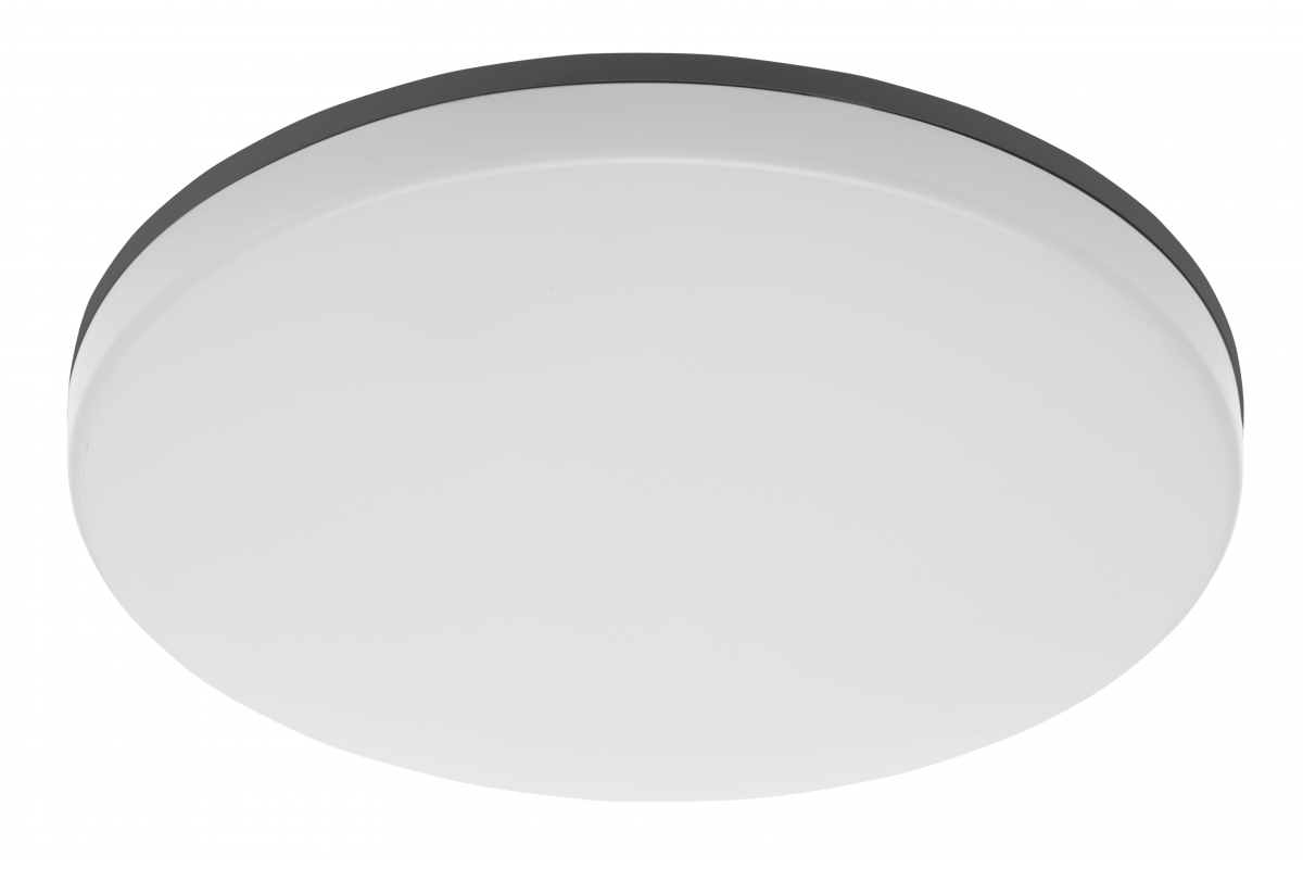 LED luminaire BESA, 24 W, 2400 lm, 3000K, AC180-250V, IP54, IK10, PC+PC, round, dimmable, black