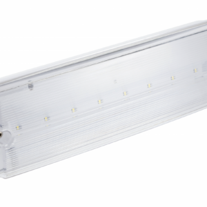 Emergency LED luminaire TERNO, 3 W, 250 lm, 6400K, AC220-240V, IP65, 1 hour, dual-mode, TEST button