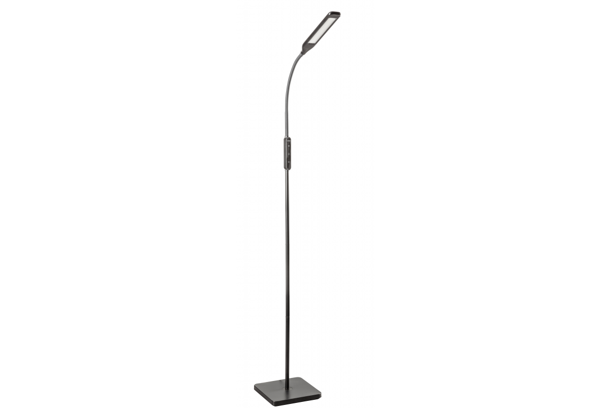 LED floor luminaire VASALIA, 8 W, 450 lm, CCT, dimmable, timer, black