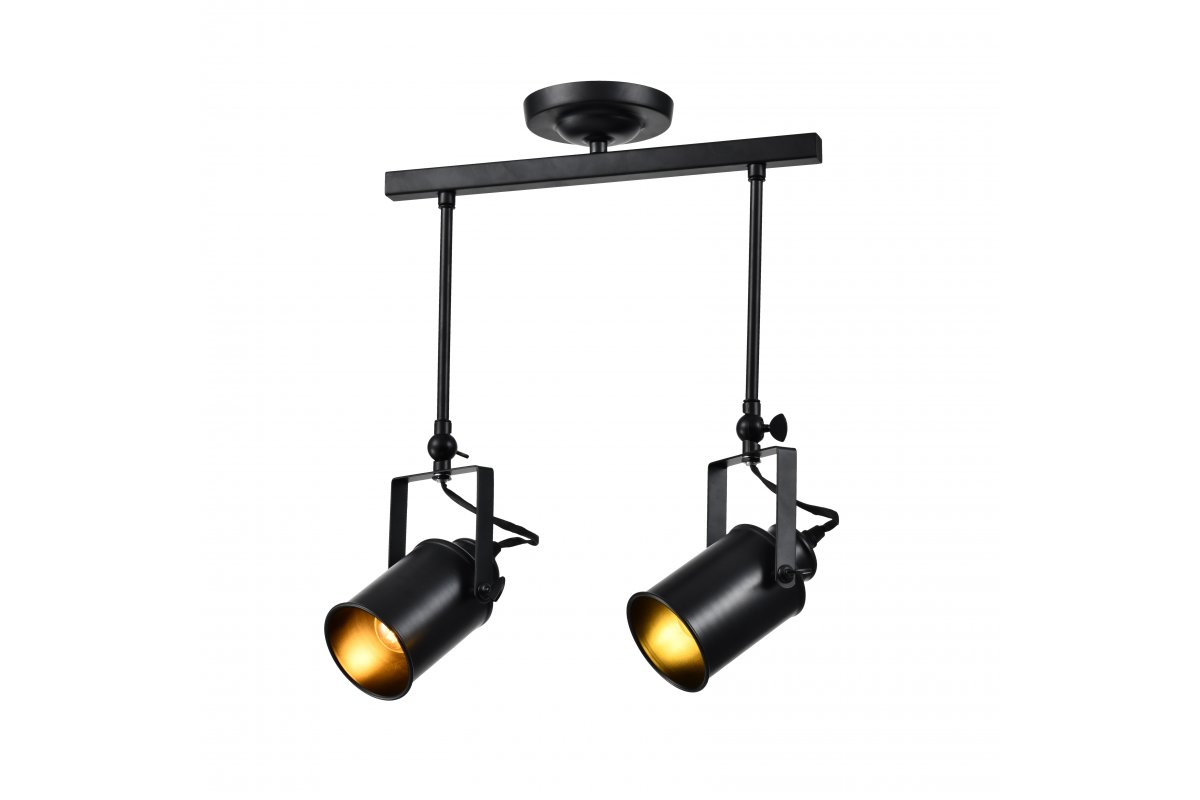 Ceiling fixture DEMIR 2,3994,AC220-240V,50/60Hz,2*E27, IP20,double,black