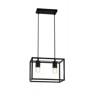 Ceiling fixture DIU2 ,3628, AC220-240V,50/60Hz,2*E27, IP20,30CMX18CMX20CM,double, black