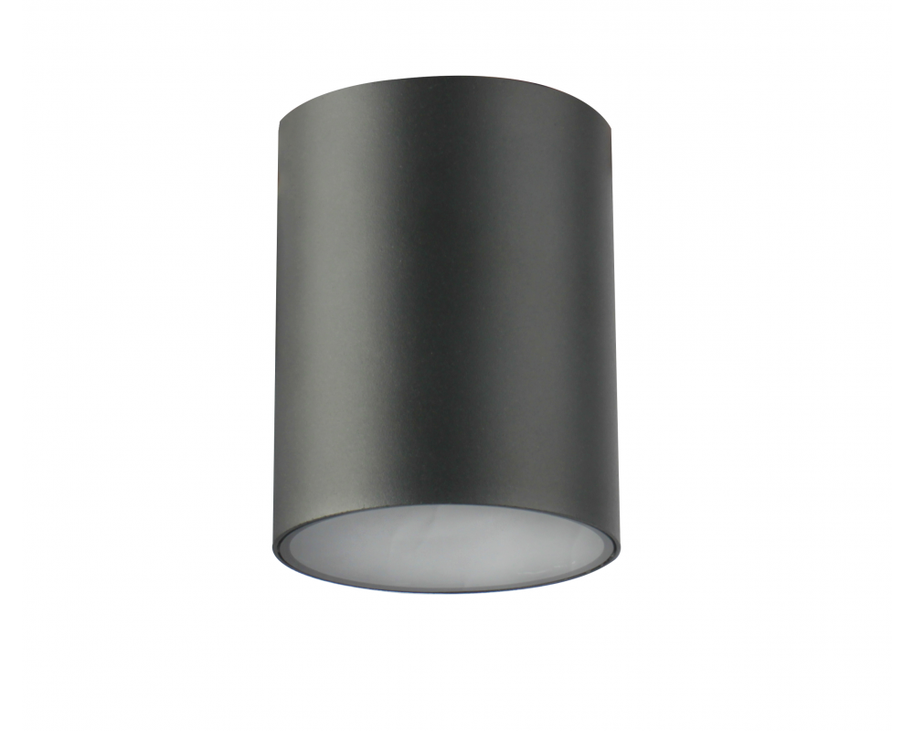 Ceiling luminaire LENTO, aluminum, IP54, max. 35 W, round, graphite