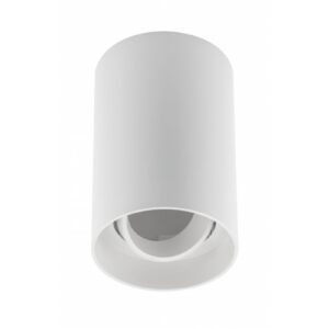 Ceiling luminaire housing RESTO, max. 10 W (LED ONLY), Ø80x125 mm, IP20, PC, white