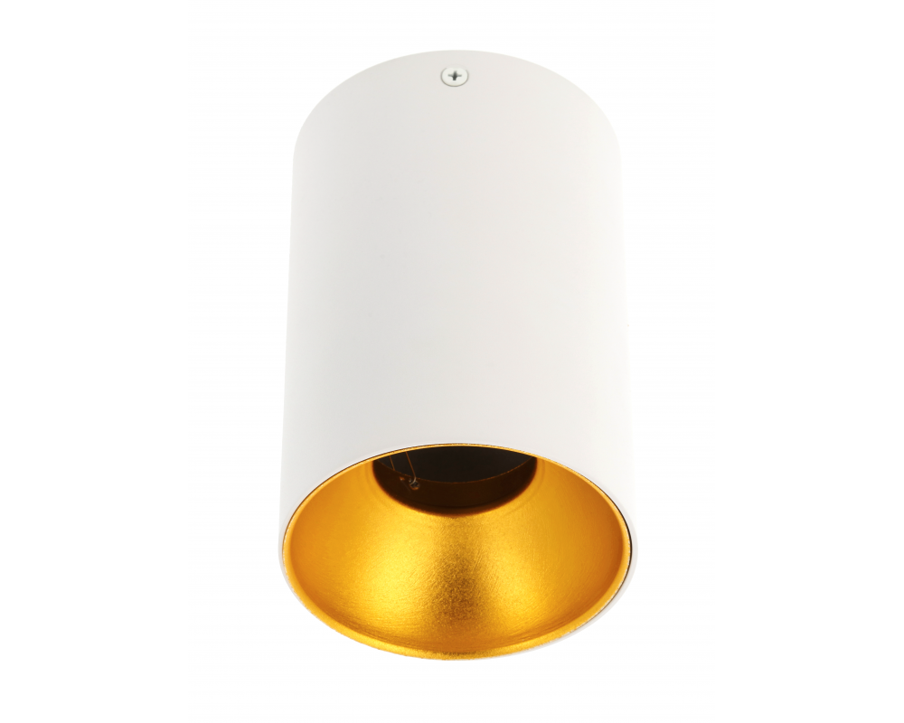 Ceiling luminaire TENSA, GU10, Ø96x140 mm, IP20, white