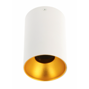 Ceiling luminaire TENSA, GU10, Ø96x140 mm, IP20, white
