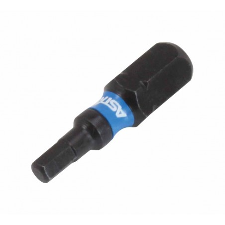 25mmL Impact Torsion Bit