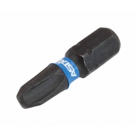 25mmL Impact Torsion Bit