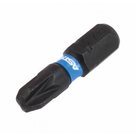 25mmL Impact Torsion Bit