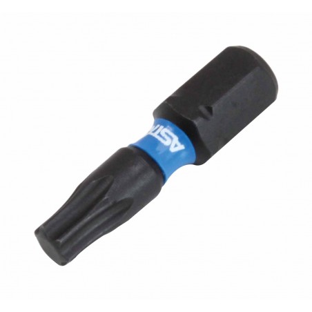 25mmL Impact Torsion Bit