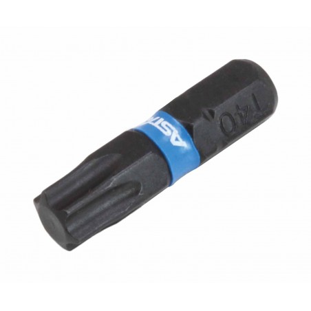 25mmL Impact Torsion Bit
