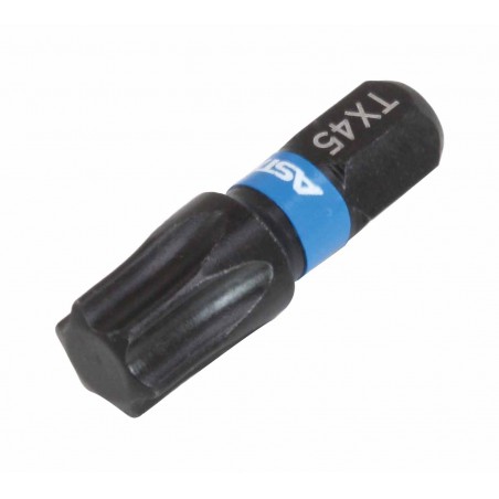 25mmL Impact Torsion Bit