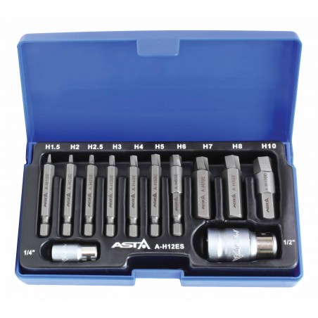 12PCS DAMAGED HEX BOLT EXTRACTOR SET