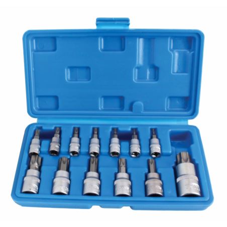 13pcs Star Bit Socket Set (with Tamper)