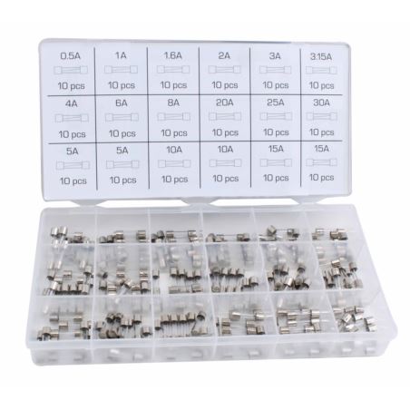 QUICK BLOW GLASS FUSE SET 180pcs 5x20mm