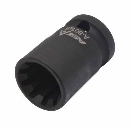 PIDURISADULATE PESA 10PT